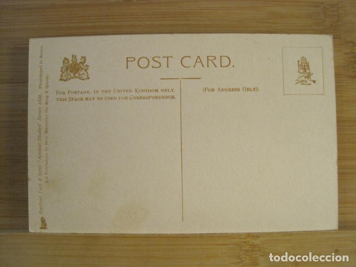 Postales: MONOS-POSTAL ANTIGUA-(102.138) - Foto 2