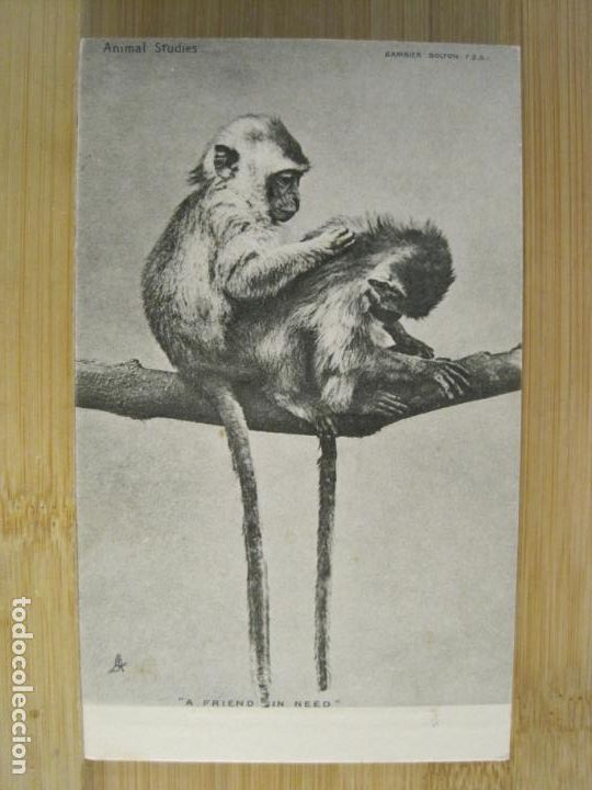 Postales: MONOS-POSTAL ANTIGUA-(102.141) - Foto 1