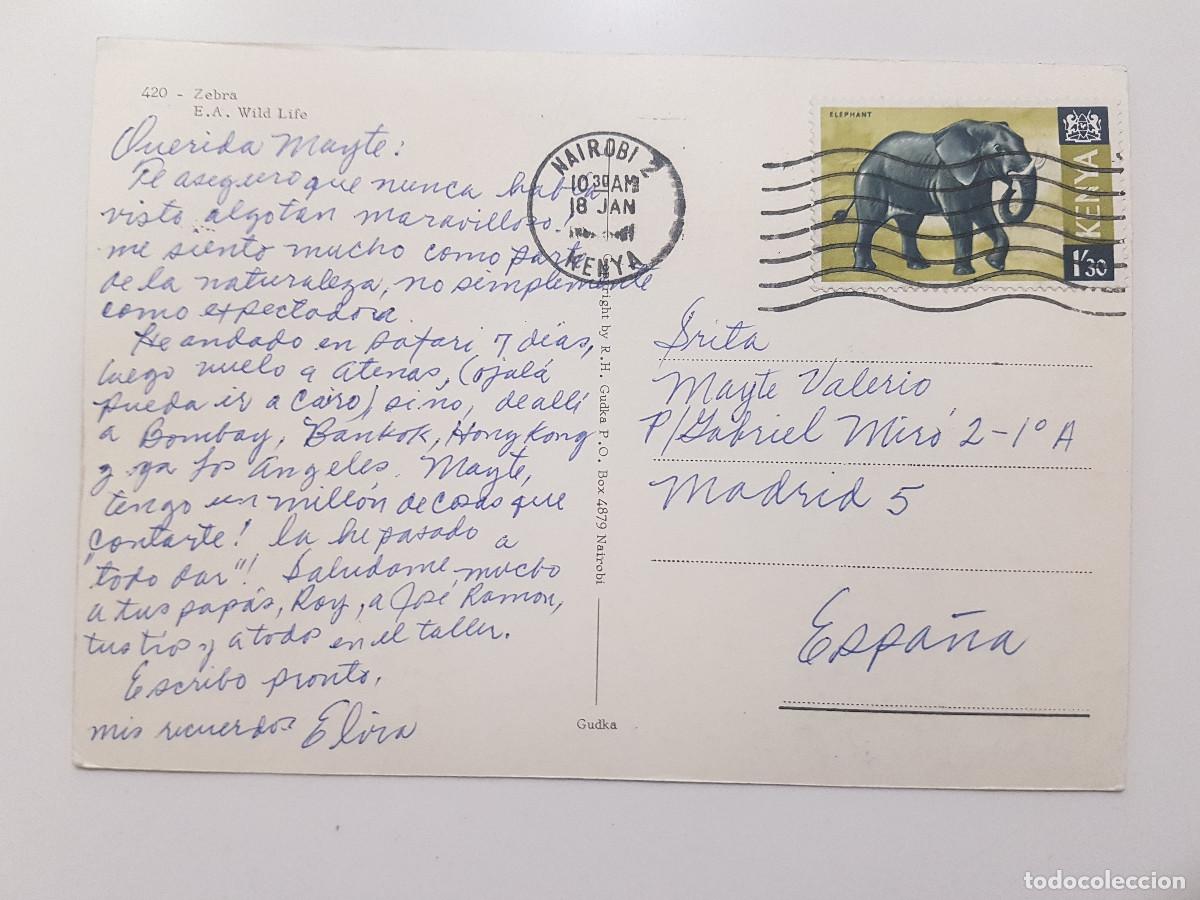 Postales: POSTAL CEBRA ZEBRA E. A. WILD LIFE. CIRCULADA KENYA - Foto 2