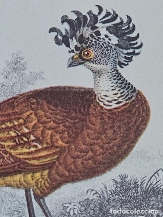 Postales: HOCO MEXICO ILUT FOURNIER SC TARJETA 18,3 X 10,4 CM