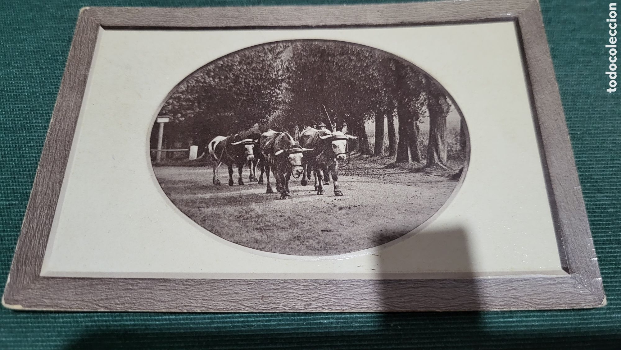 Postcards: Tarjeta Postal usada