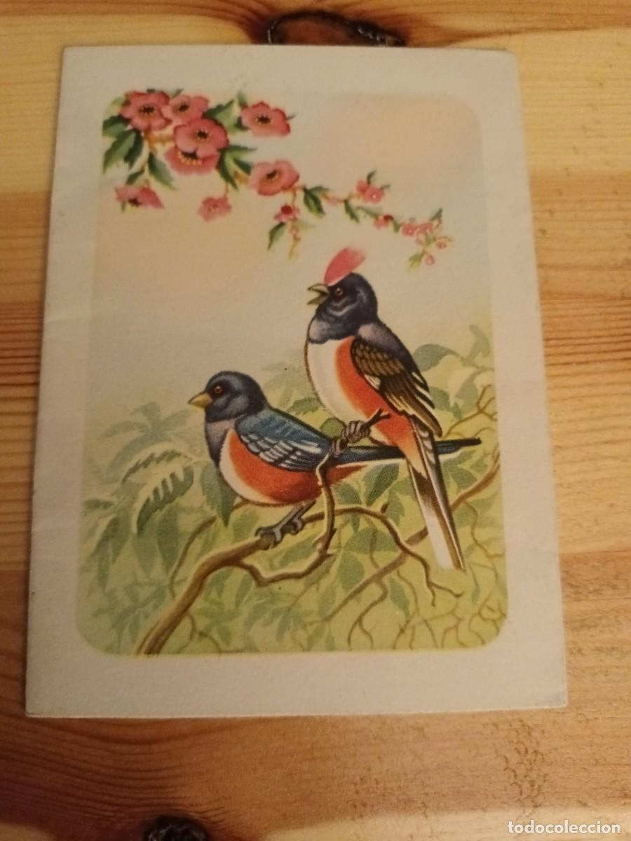 Postcards: Tarjeta troquelada tres dimensiones, p&aacute;jaros