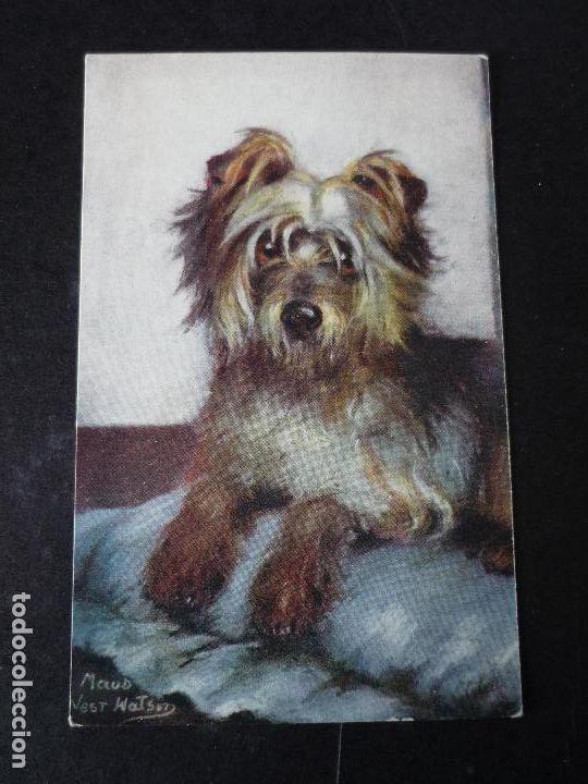 Postales: PERRO POSTAL - Foto 1