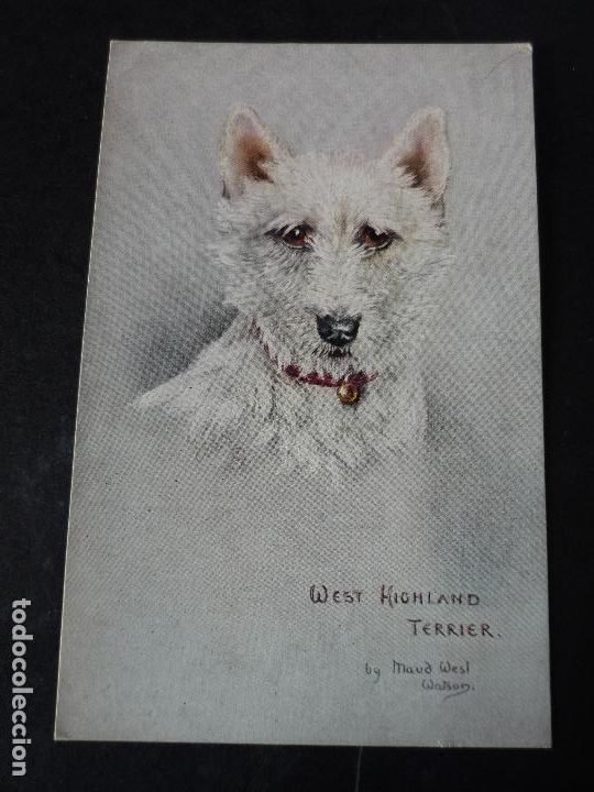 Postales: PERRO POSTAL - Foto 1