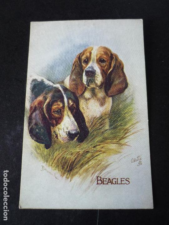 Postales: PERROS POSTAL - Foto 1