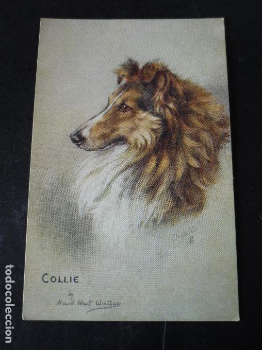 Postales: PERRO POSTAL - Foto 1