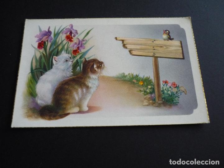 Postales: GATOS Y PAJARO POSTAL - Foto 1