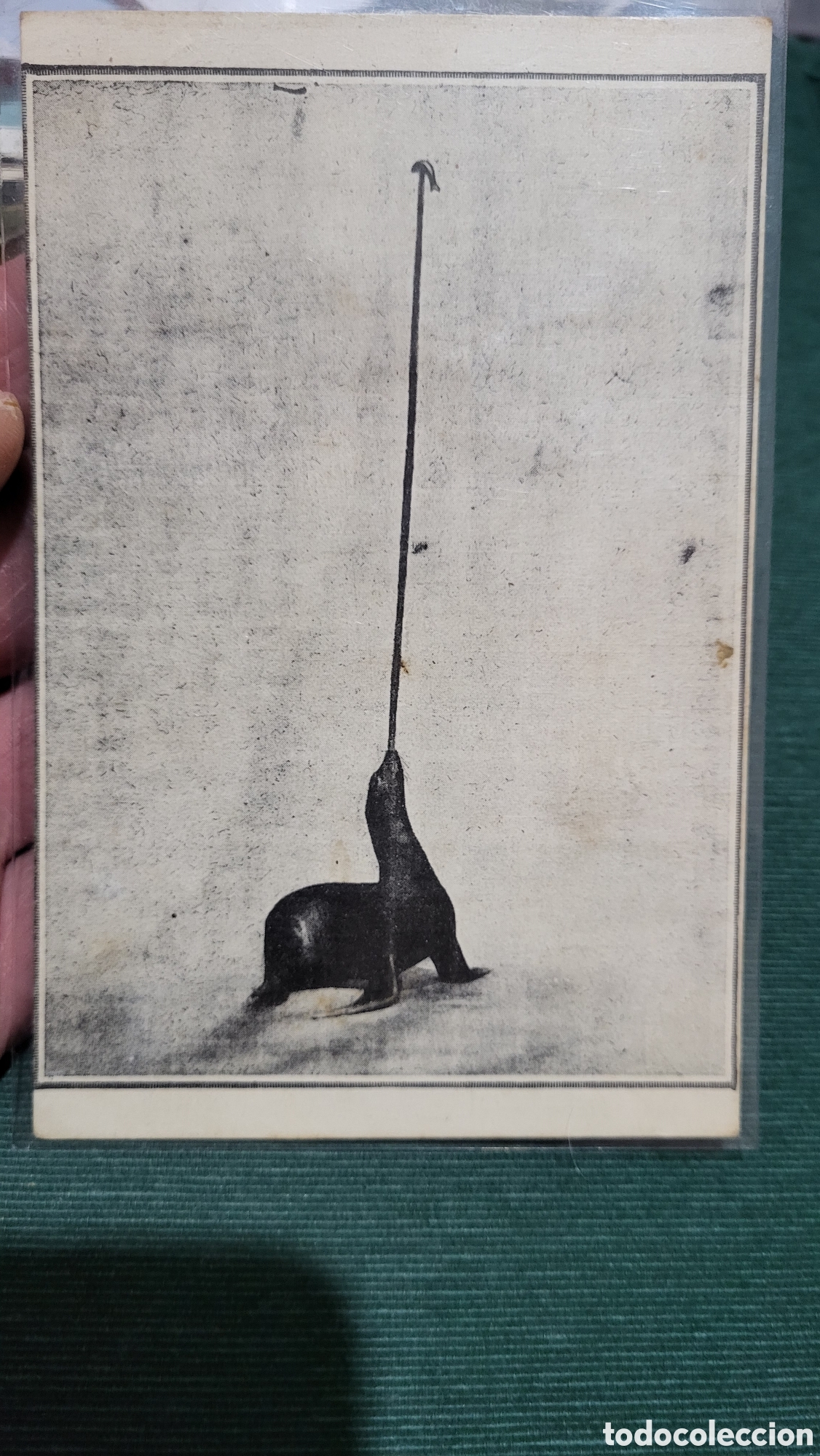 Postales: Tarjeta Postal