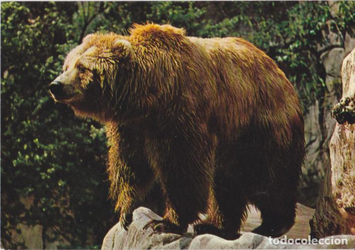 Postales: OSO KODIAK - KR&Uuml;GER 900/29 - S/C