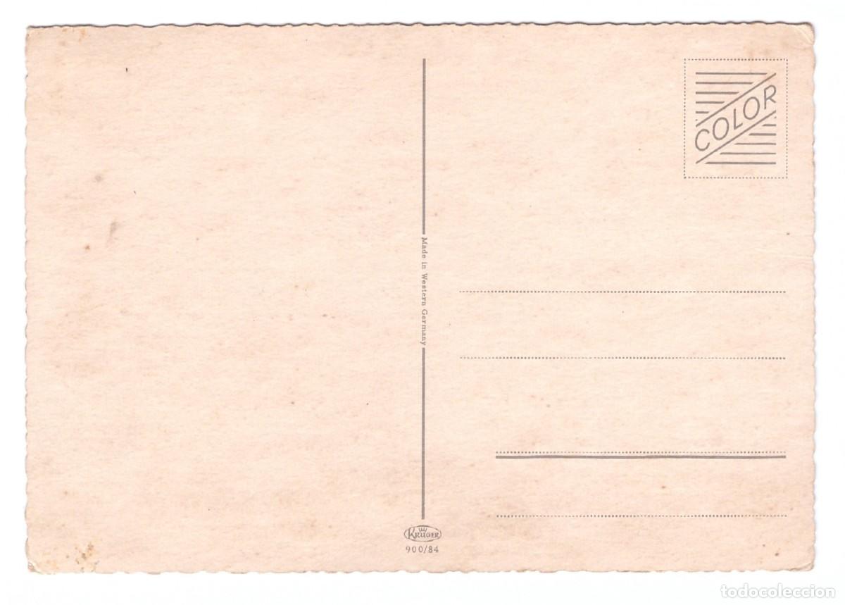 Postales: TARJETA POSTAL DE GATOS - Foto 2