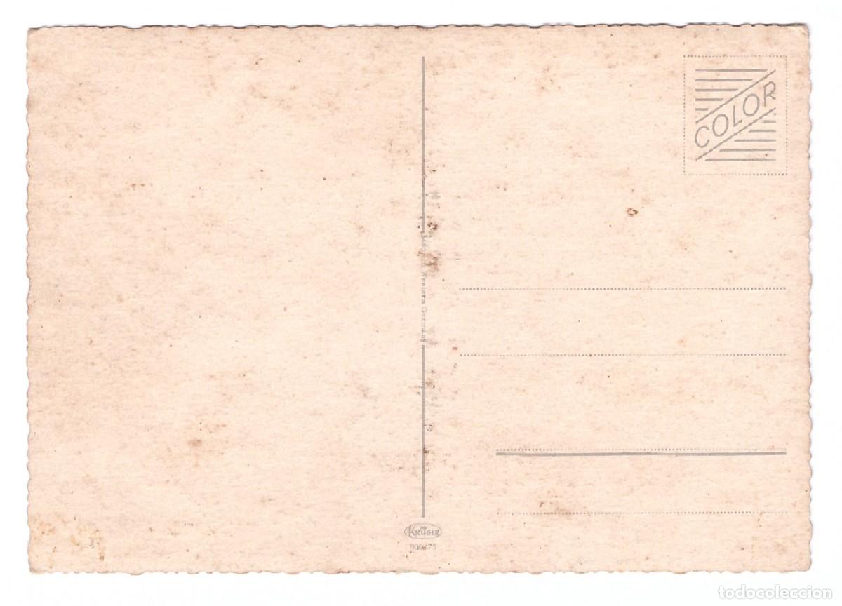 Postales: TARJETA POSTAL DE PERROS - Foto 2