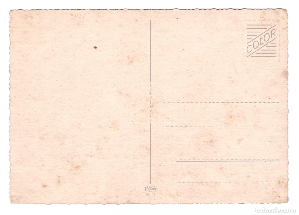 Postales: TARJETA POSTAL DE PERROS - Foto 2