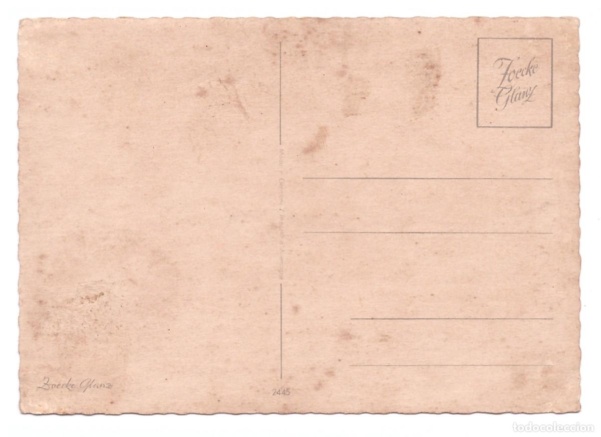 Postales: TARJETA POSTAL DE GATOS - Foto 2