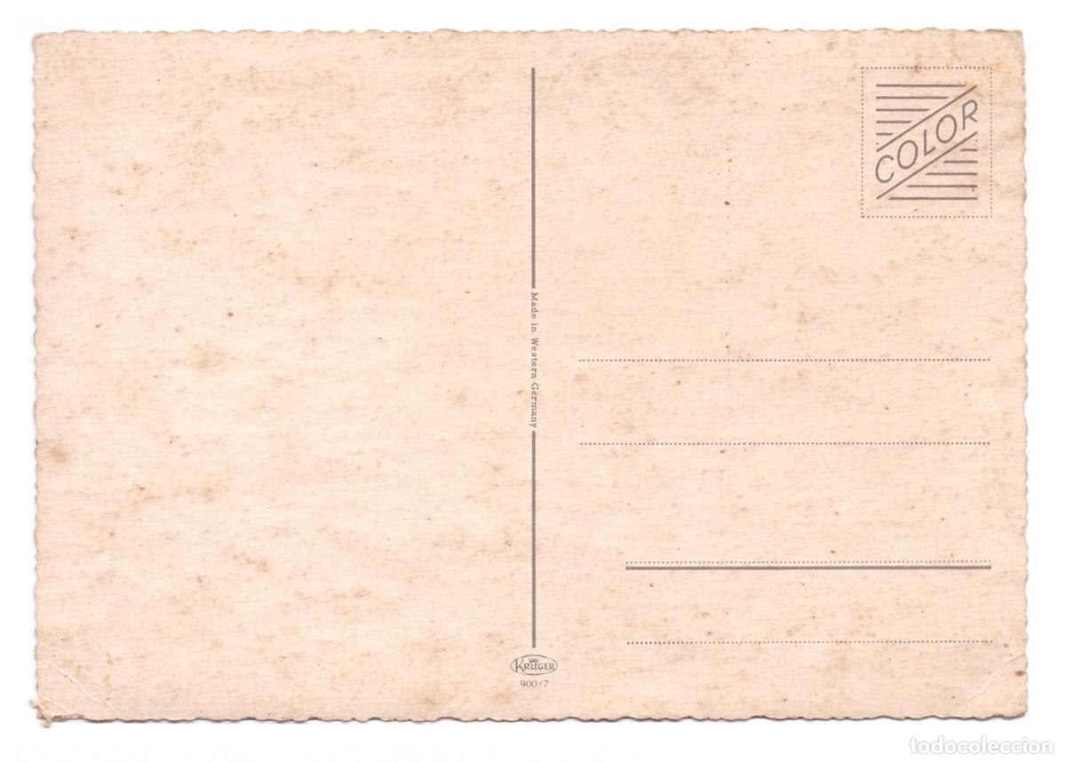 Postales: TARJETA POSTAL DE PERROS - Foto 2