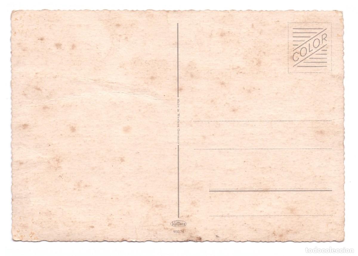 Postales: TARJETA POSTAL DE PERROS - Foto 2