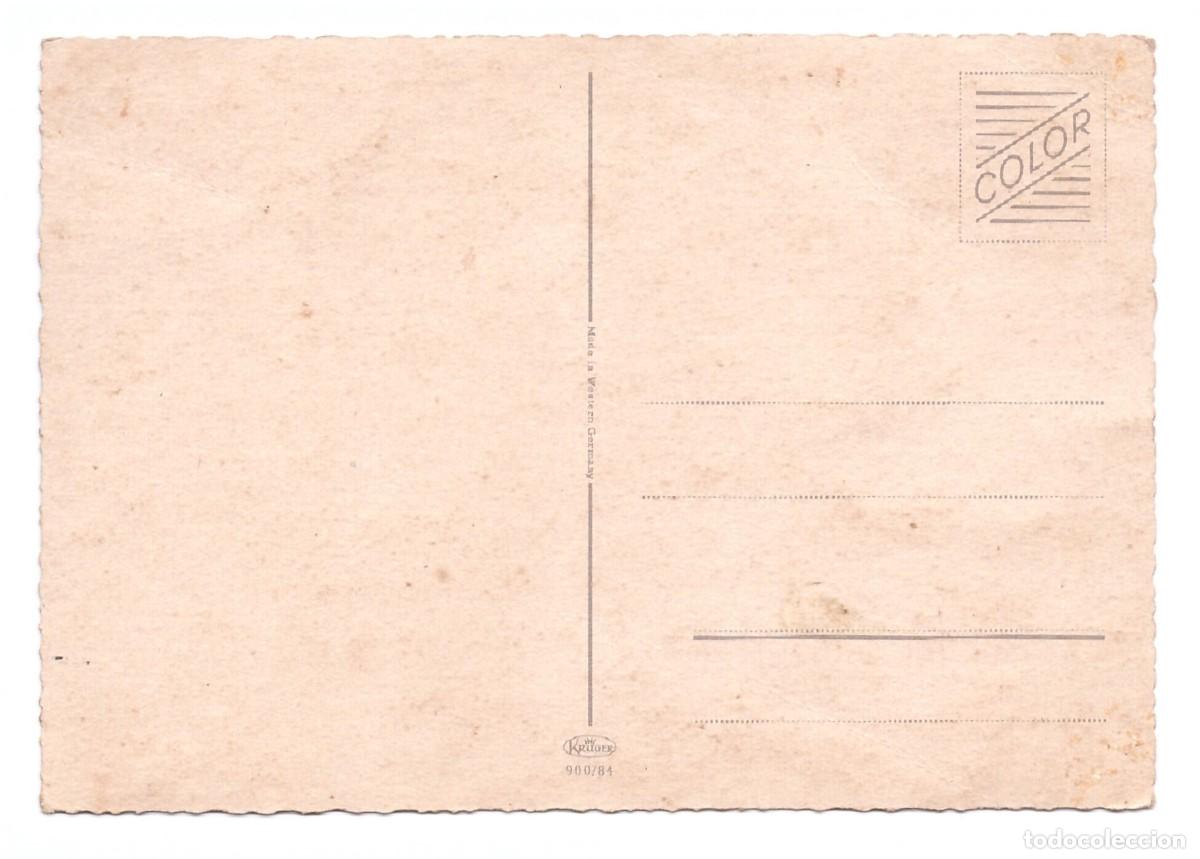 Postales: TARJETA POSTAL DE GATOS - Foto 2
