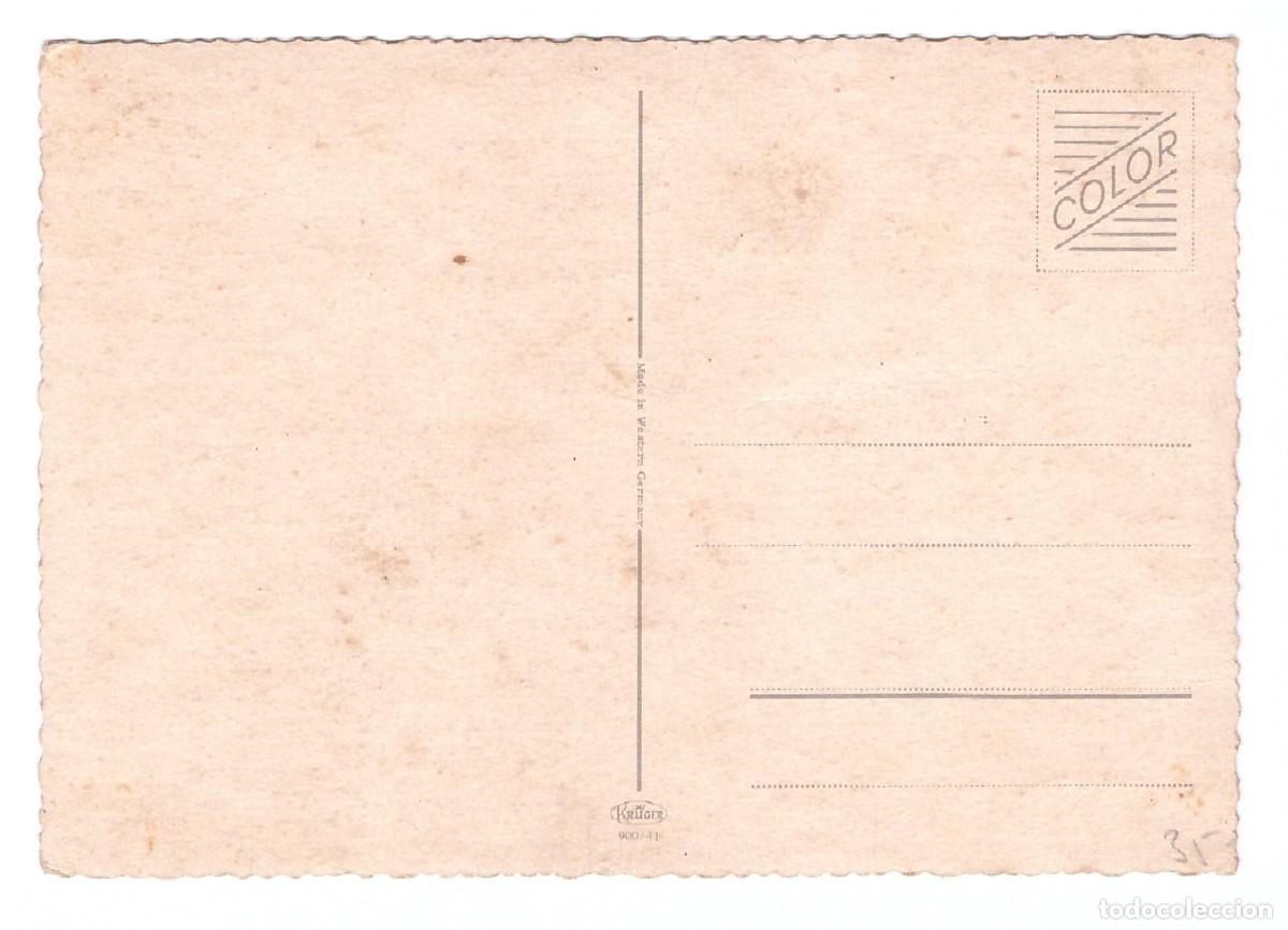 Postales: TARJETA POSTAL DE GATOS - Foto 2
