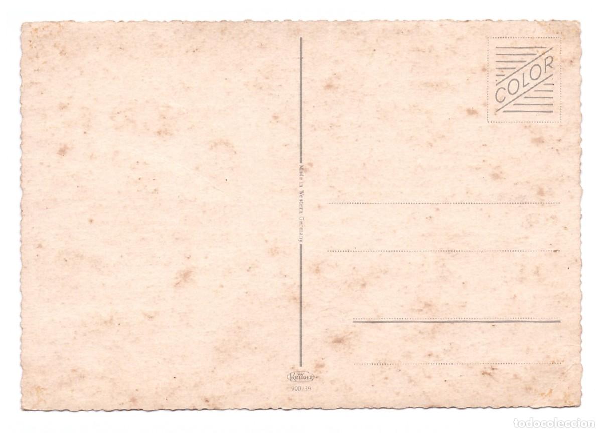 Postales: TARJETA POSTAL DE GATOS - Foto 2