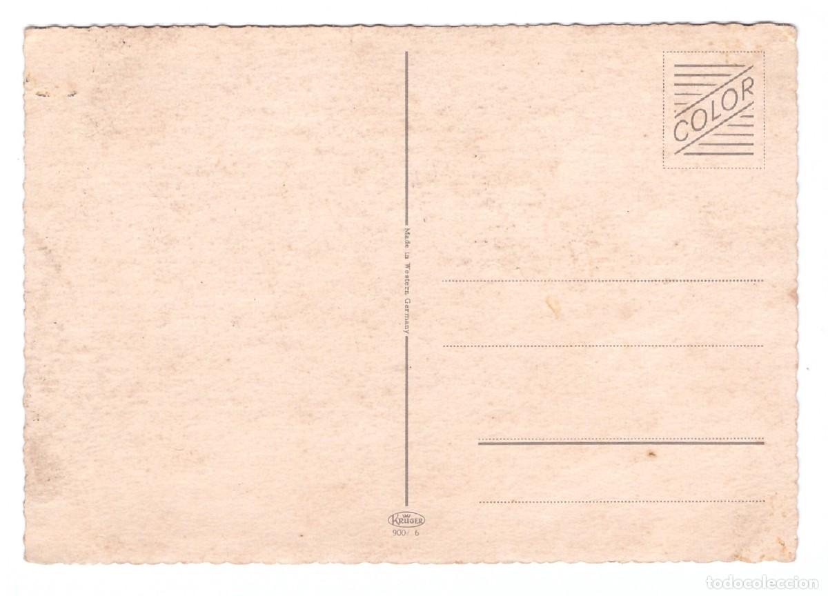 Postales: TARJETA POSTAL DE PERROS - Foto 2