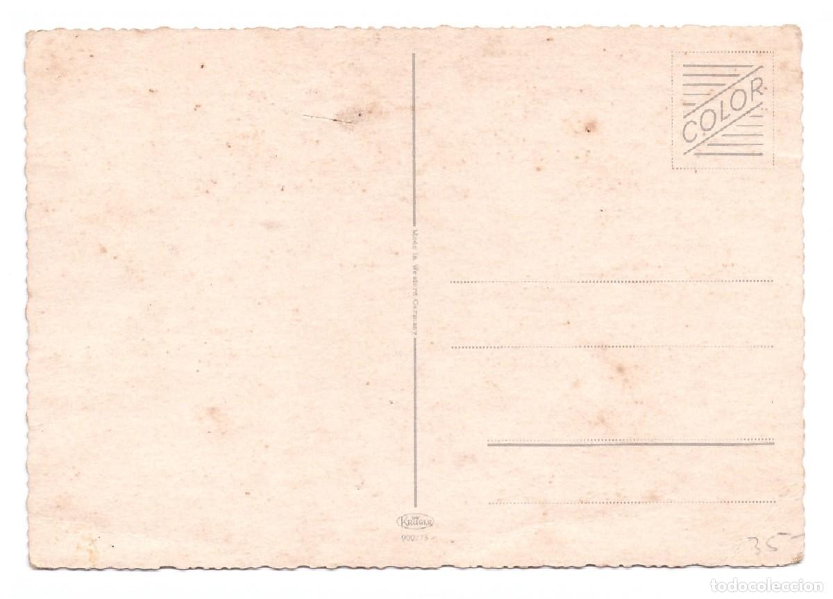 Postales: TARJETA POSTAL DE PERROS - Foto 2