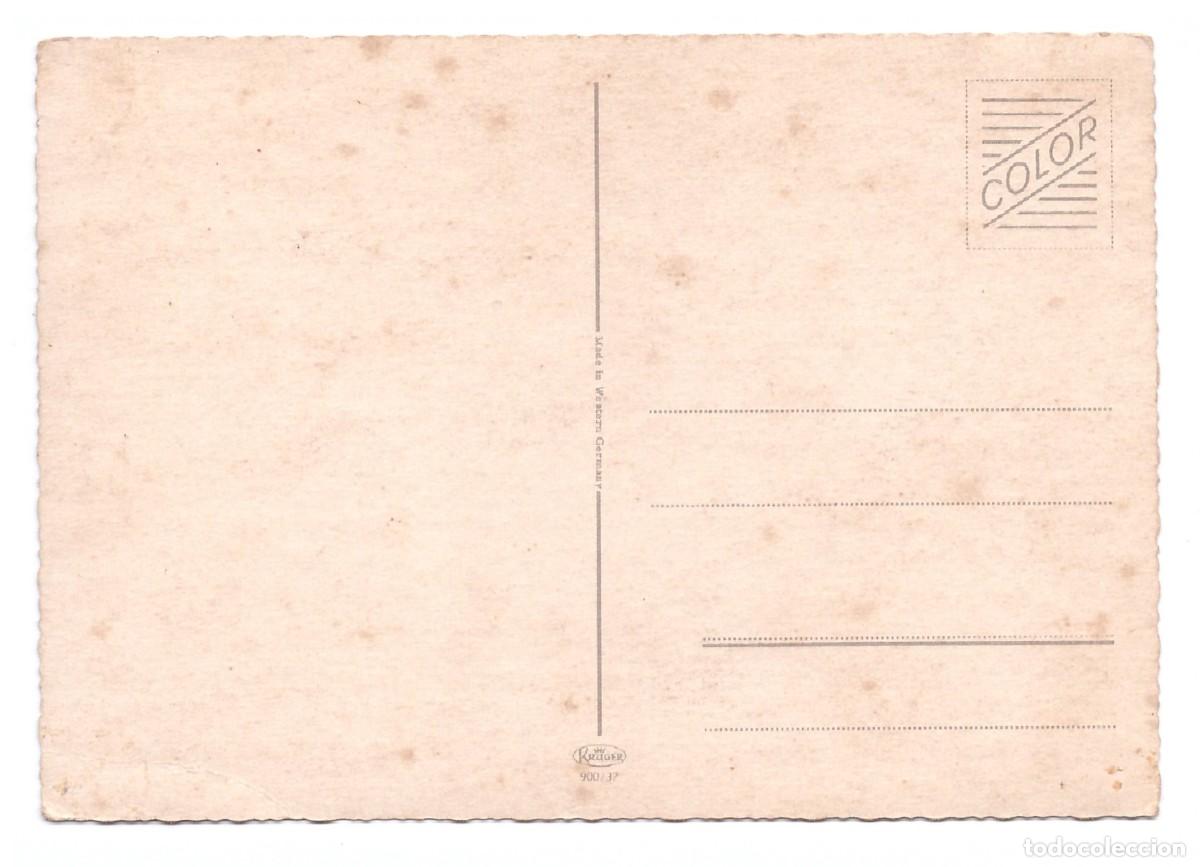 Postales: TARJETA POSTAL DE GATOS - Foto 2