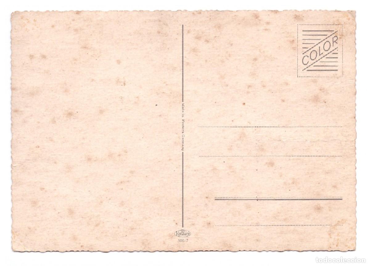 Postales: TARJETA POSTAL DE PERROS - Foto 2