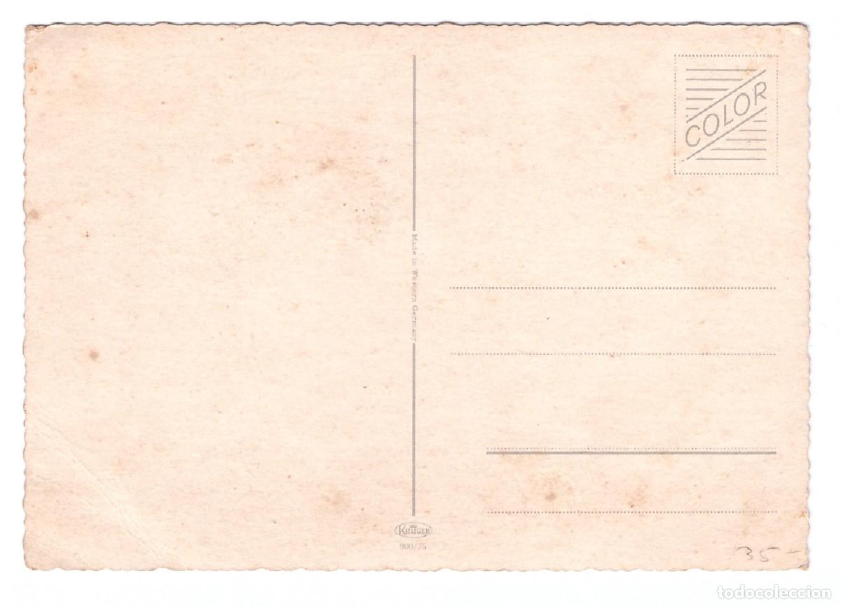 Postales: TARJETA POSTAL DE PERROS - Foto 2