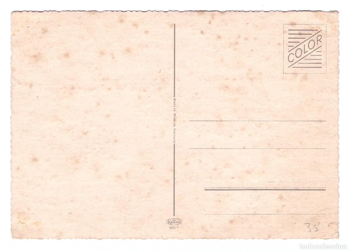 Postales: TARJETA POSTAL DE PERROS - Foto 2