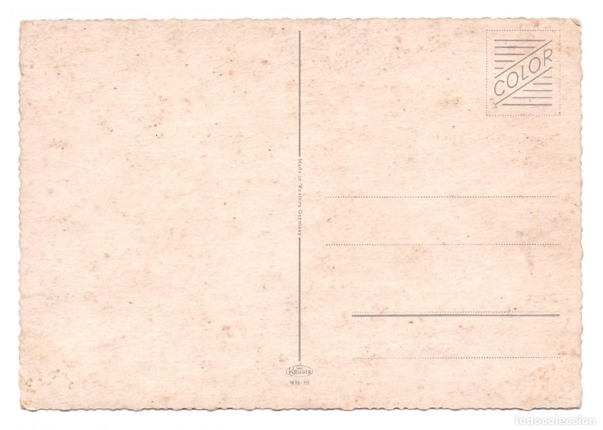 Postales: TARJETA POSTAL DE GATOS - Foto 2
