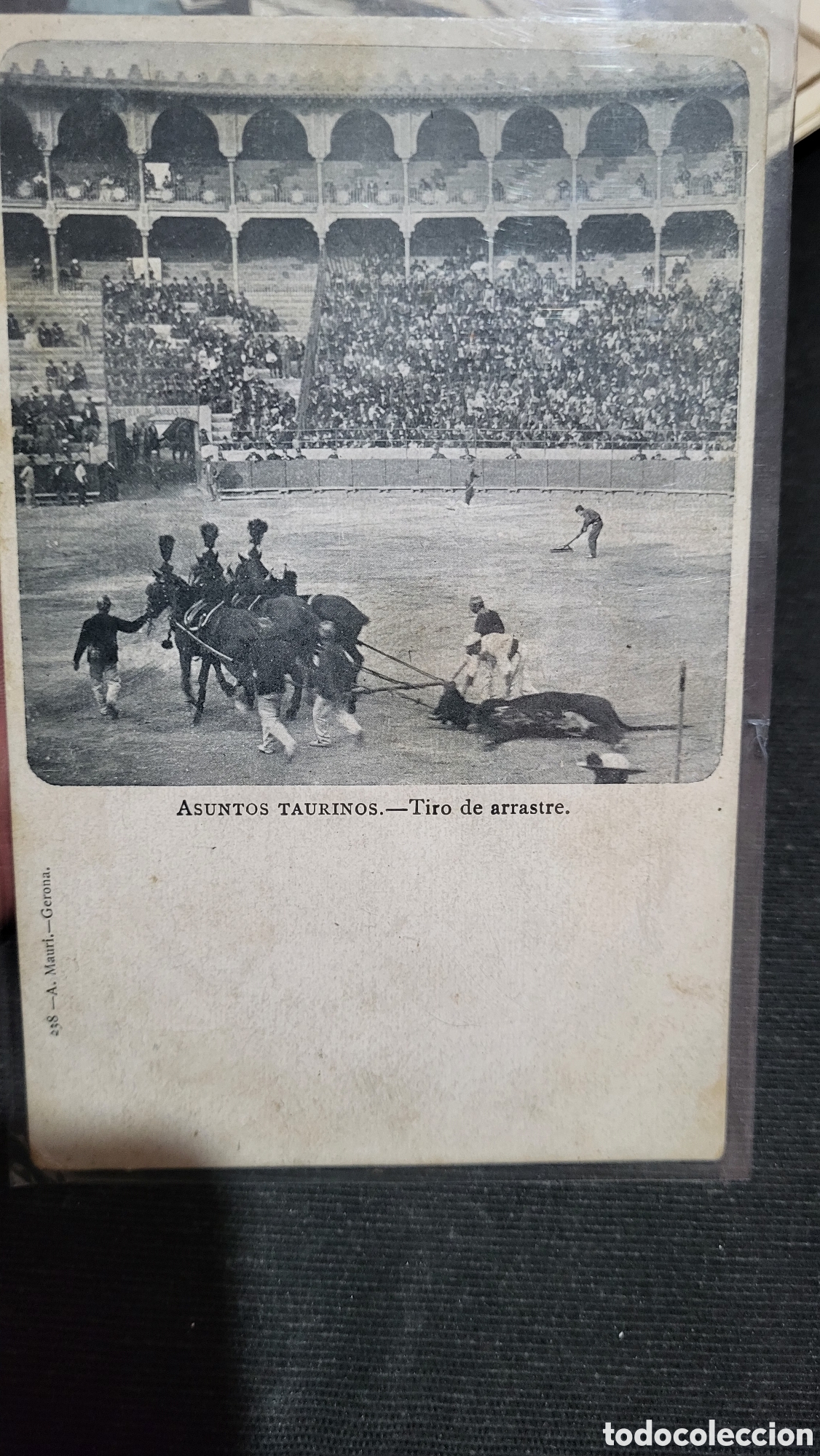 Postcards: Tarjeta Postal antigua Asuntos Taurinos