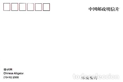 Postales: China & Maxima, Cocodrilo Chino 2000 (775556) - Foto 2