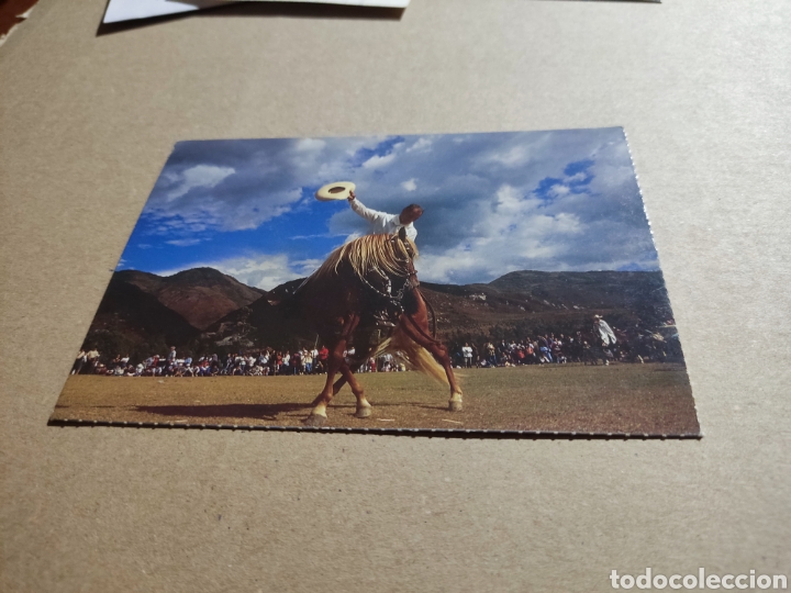 Postales: Postal caballo Per&uacute; - Foto 1