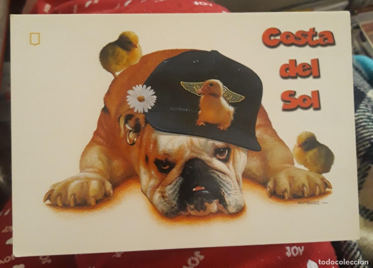 Postcards: -83508 POSTAL PERRO CON PAJAROS, ESCUDO DE ORO, COSTA DEL SOL, L. DOMINGUEZ