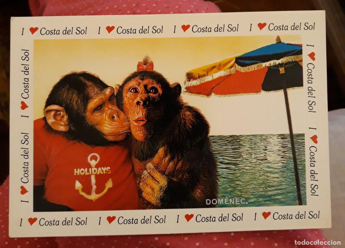 Postcards: -84004 POSTAL MONOS, ANIMALES, COSTA DEL SOL, ESCUDO DE ORO, L. DOMINGUEZ