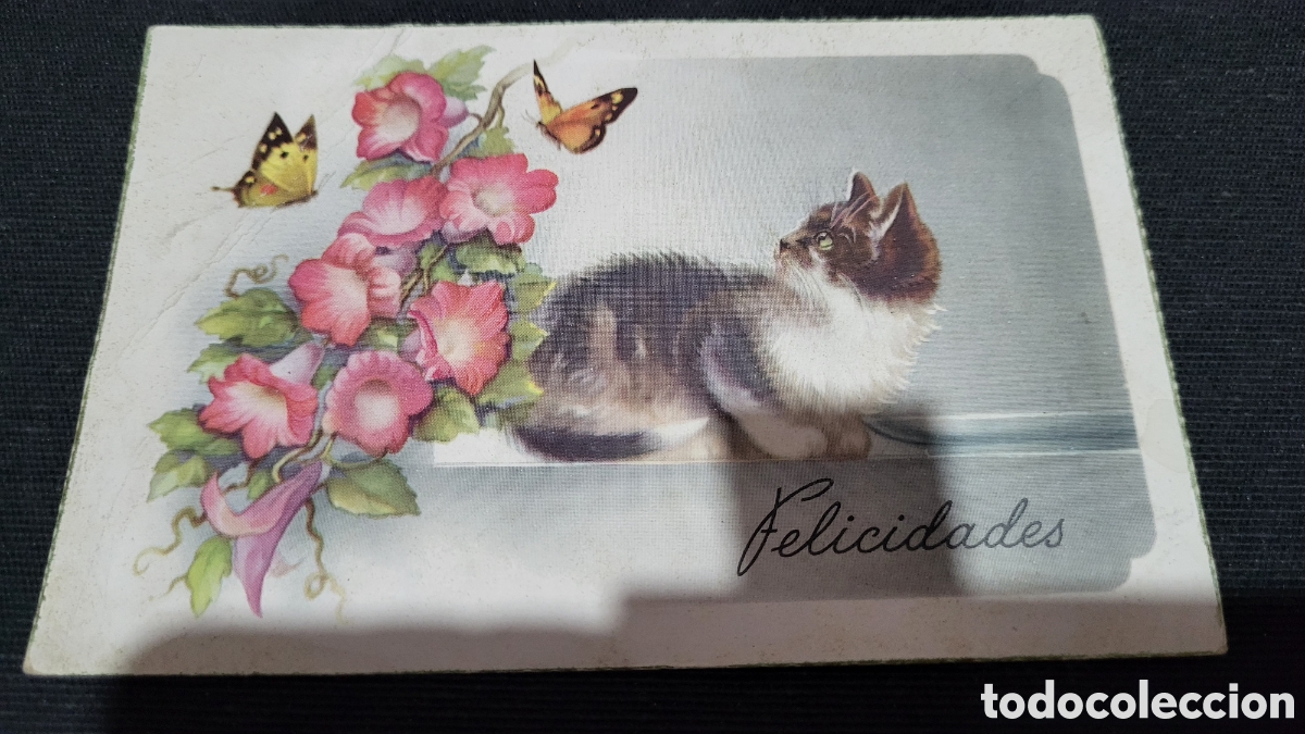 Postales: Tarjeta Postal