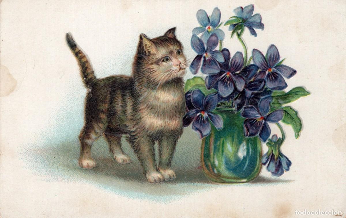 Postales: GATO. POSTAL EN RELIEVE - Foto 1