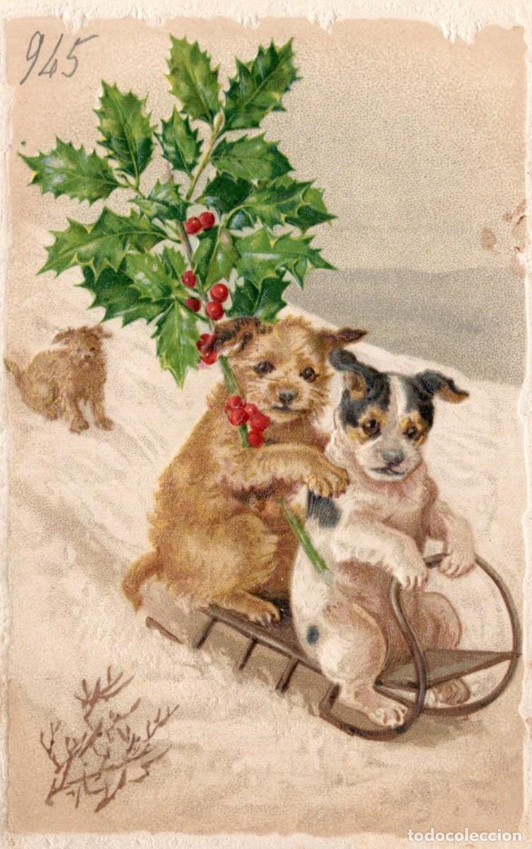 Postales: PERROS. POSTAL EN RELIEVE - Foto 1