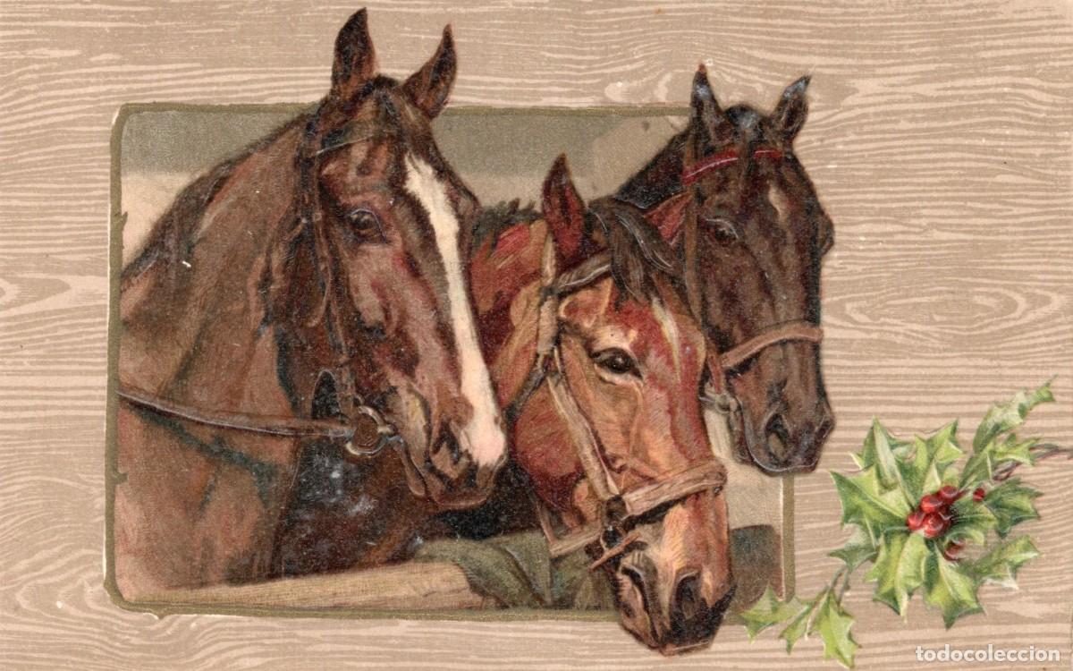 Postales: CABALLOS. POSTAL EN RELIEVE - Foto 1
