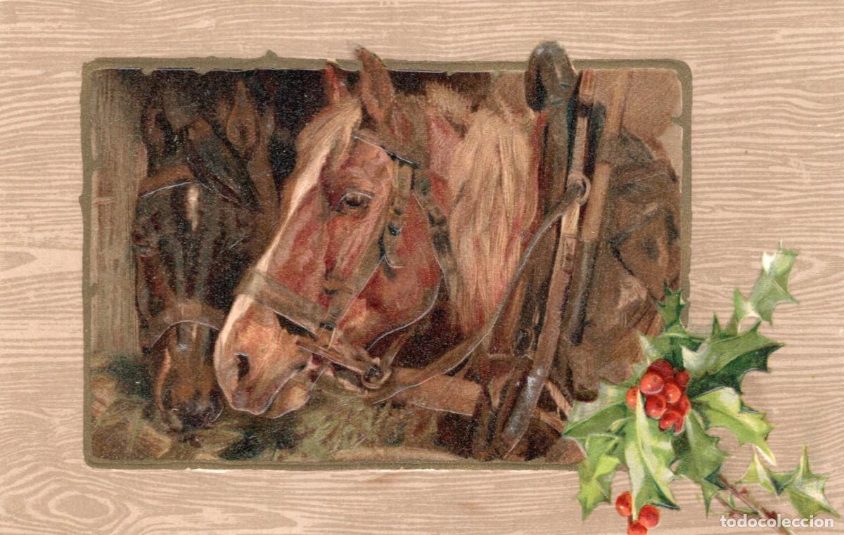 Postales: CABALLOS. POSTAL EN RELIEVE - Foto 1
