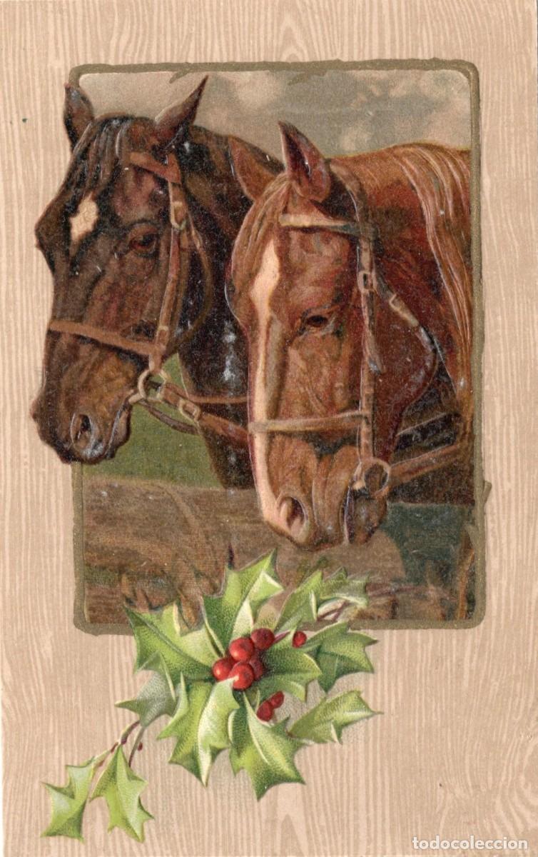 Postales: CABALLOS. POSTAL EN RELIEVE - Foto 1