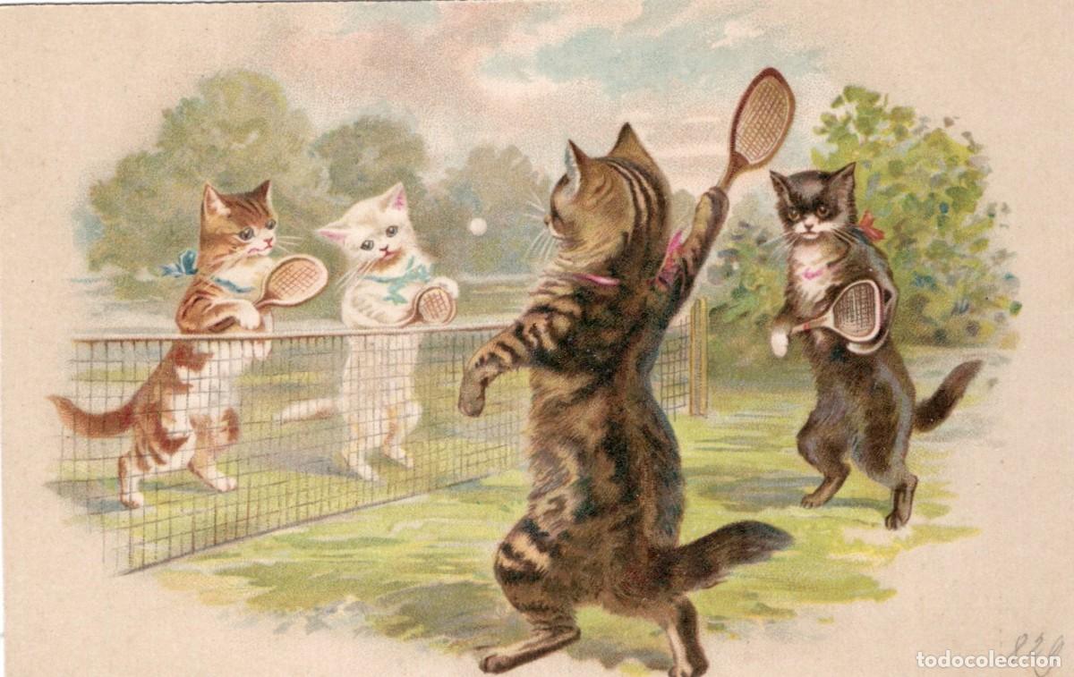 Postales: GATOS JUGANDO A TENIS - Foto 1