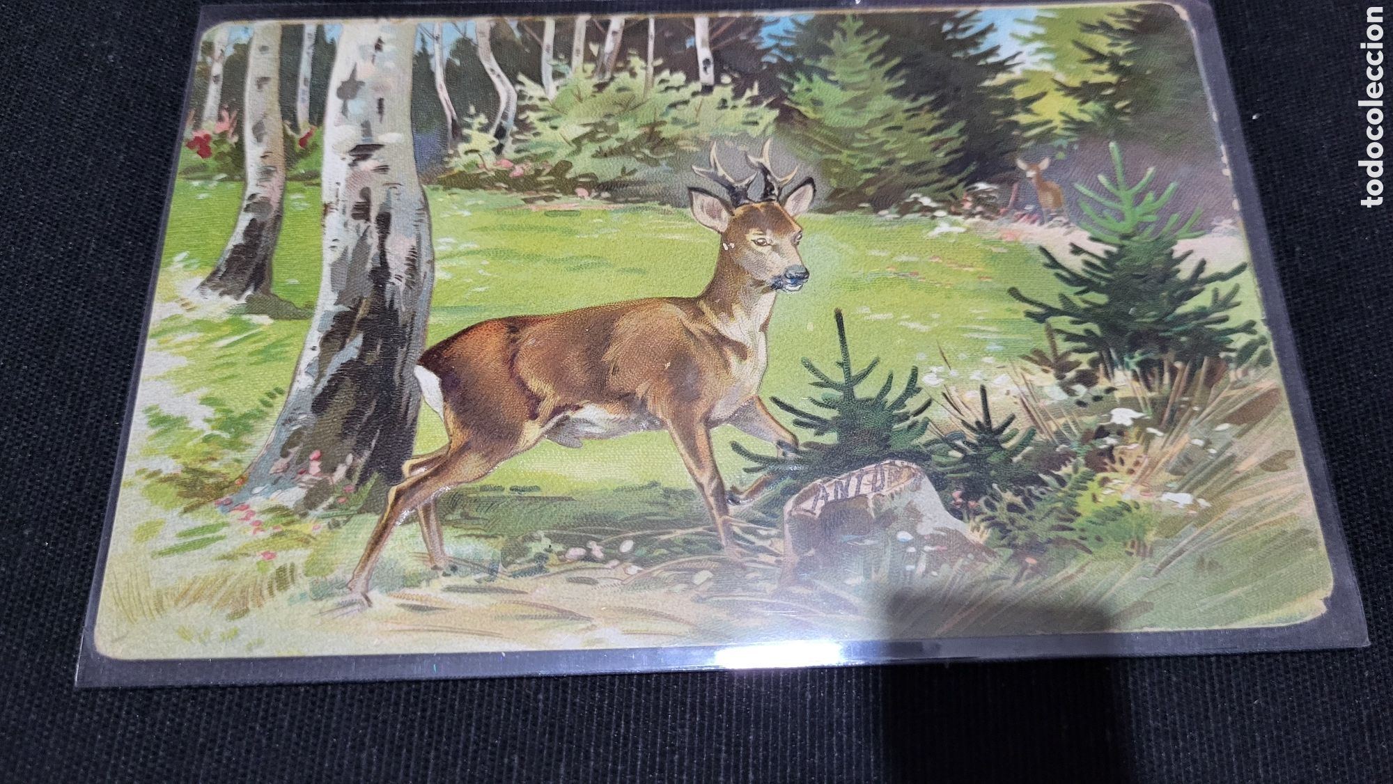 Postales: Tarjeta Postal usada