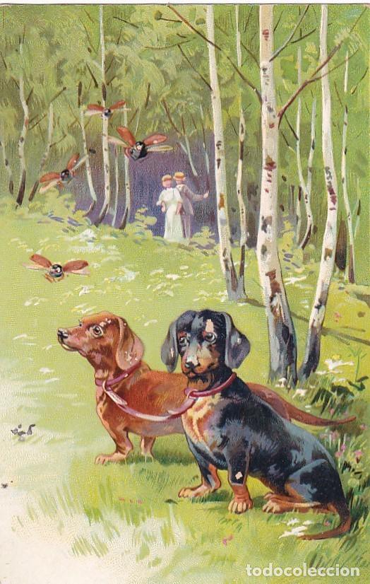 Postales: POSTAL EN RELIEVE PERROS SALCHICHA Dachshund. ESCRITA. SIN CIRCULAR.