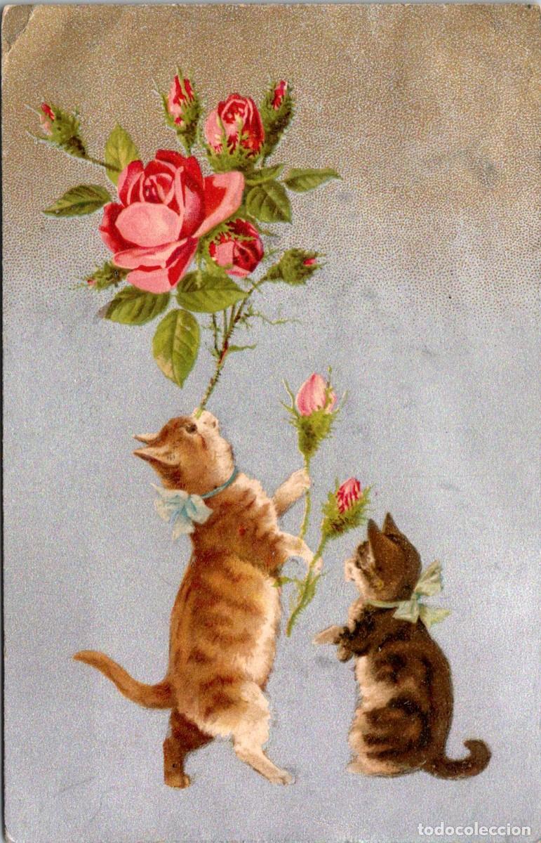 Cartes Postales: Gatos - Rosas - Postal Francesa - Ed. KF 806 - 140x90mm