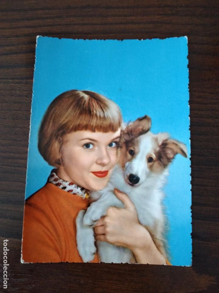 Postales: CHICA CON PERRO POSTAL - Foto 1