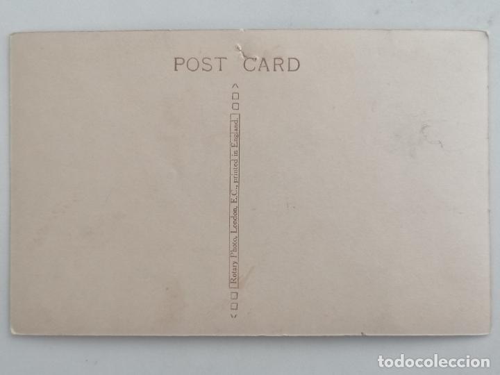 Postales: POSTAL GATO TUMBADO POSANDO - Foto 2