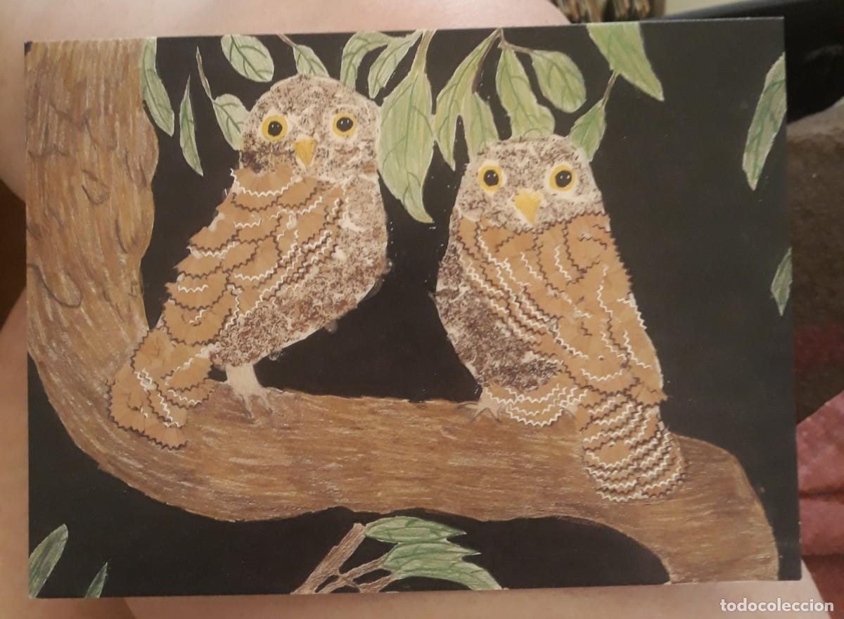 Postales: -84949 POSTAL PINTURA PAJAROS, UN PAR DE MOCHUELOS, 2&deg; CONCURSO JUNTA DE ANDALUC&Iacute;A