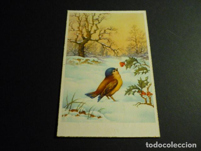 Postales: PAJARO EN INVIERNO POSTAL - Foto 1
