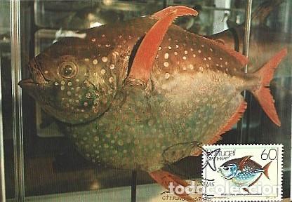 Postkarten: Portugal & Maxima, Especies marinas de Madeira, Rangpurfish, Lampris guttatus 1985 (37)