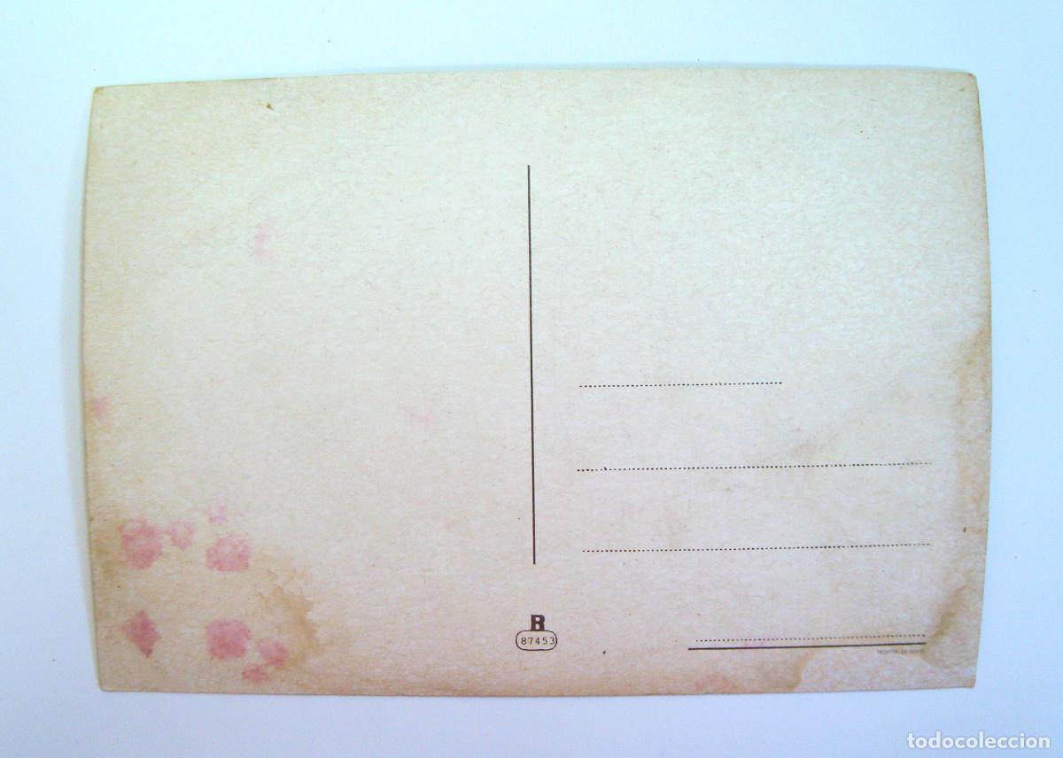 Postales: TARJETA POSTAL UN GATO , SIN CIRCULAR - Foto 2